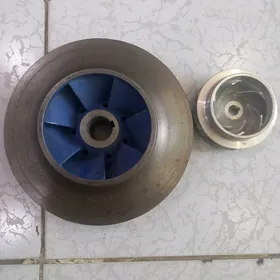 krylçatka guyup beryas