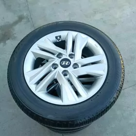 Hunda disga pakrişga 16