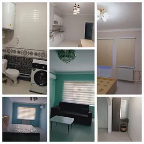 Сдаётся полуэлитка