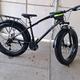 TIGIR 26 LIK LOGA TEKER