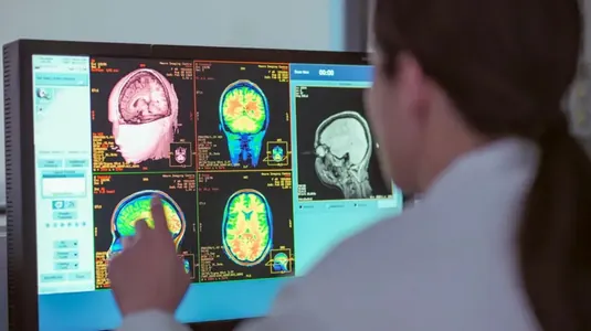 Adam beýnisi 5 ýaş tapgyryndan geçýär: jahyllyk 32 ýaşa çenli dowam edýär