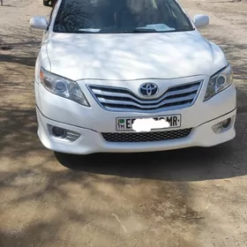 Toyota Camry 2010