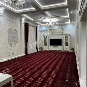 Taze Zaman Koteź 1tapgyr 12sot