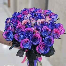 ROZA GULLER SOWGATLAR 24/7