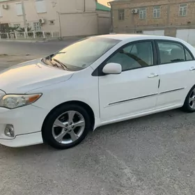 Toyota Corolla 2010