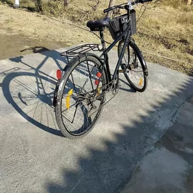 27lik spartivny full velik