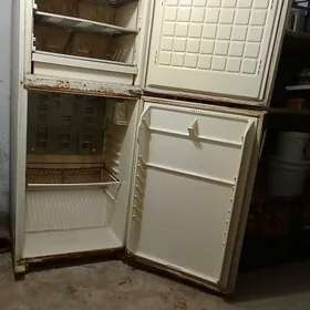 Holodinik Бюрюса Orsynky