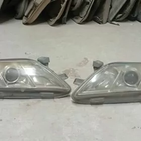 fara okuz jelle 2007 morda