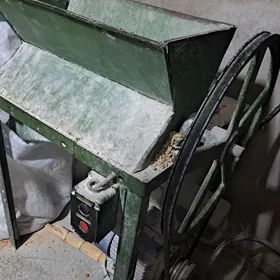 Çörek dogroÿan ystanok