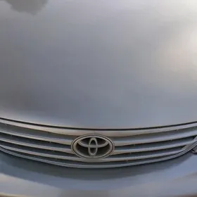 duty kemry ablisowka