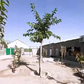 БАГИР МИРЕВЕ 8 СОТ 180 М2