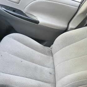 Sienna sidenya koza gerek10-20