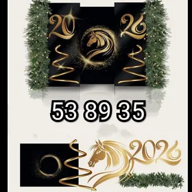 Täze ýyl yolka bezeg