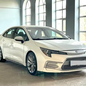 Toyota Corolla 2020