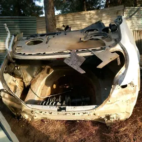 kyrlo yz okuz kelle krysa 2010