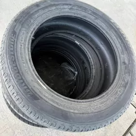 205/55/16 Bridgestone  kapsen