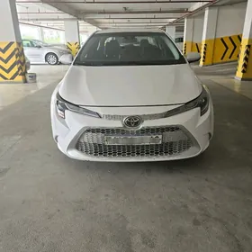 Toyota Corolla 2020