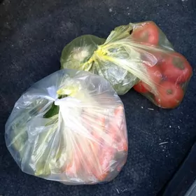 Taksyda  pradukta gallyran