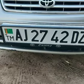 TEH PASPURT YITDI BAYRAGY BAR