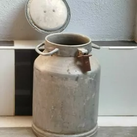 Филяга 40. лт