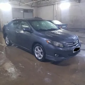 Toyota Corolla 2010