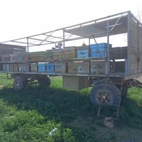 Прицеп, Ary prisep