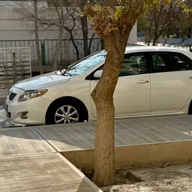 Toyota Corolla 2010