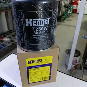 Hegst T250W