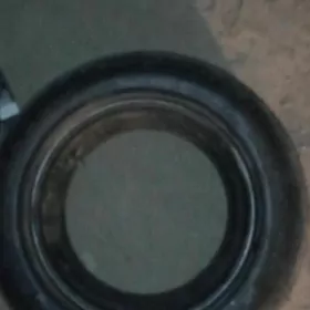 R16 pakryska kamyry bile