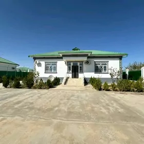 Taze zaman ️тазе заман