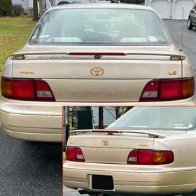 богажник пласмас