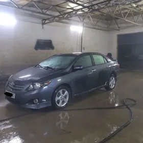 exclusive 16 morda diska obmen