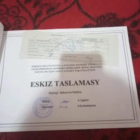 таза мечитни. аркаси  сипал