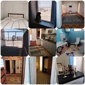 Guwlymayak arenda jay