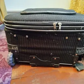 Улы Чемодан