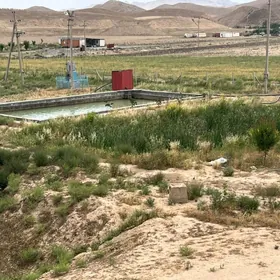 MIWELI BAG 30 GA SATLYK YER