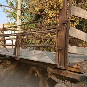 Bal Ary telesge prisep