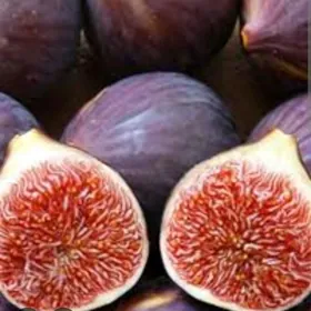 INJIR AYDIN SARISI TURK NAHAL