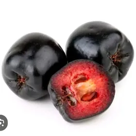 ARONYA VIKING TURK NAHAL