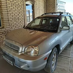 Hyundai Santa Fe 2004
