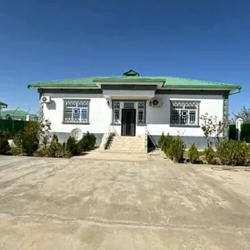 Тазе Заман Taze Zaman 5 kom