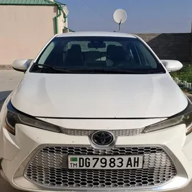 Toyota Corolla 2019