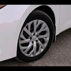 18 karollan gara diska obeen