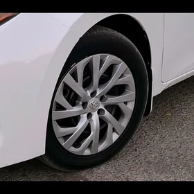 pakryska brictone 2022 yyl