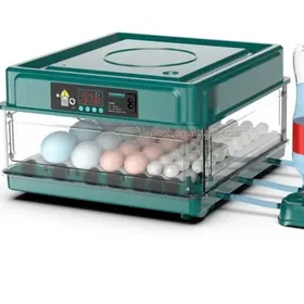 Inkwator taze   70 yumurtgalyk