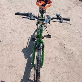 Turkmenistan Salcona