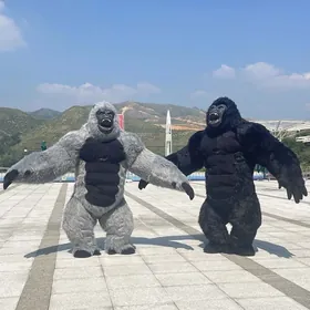 ️️️MIŞKA GARILLA️️️