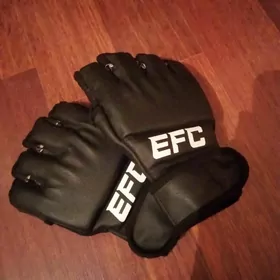 EFC percatka orginal