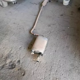 Ökiz kele Gulşityl