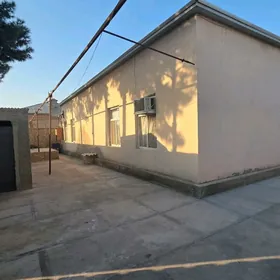 Dmitr Taze Ay arkasy Plan jay